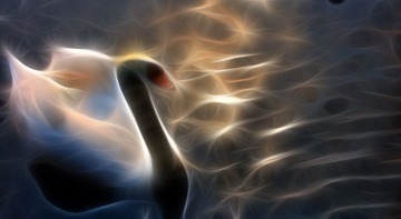IMG_0298.JPG