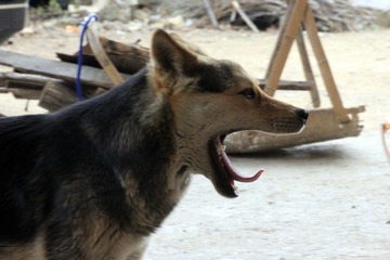 _MG_2638.jpg