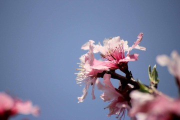 _MG_2488.jpg