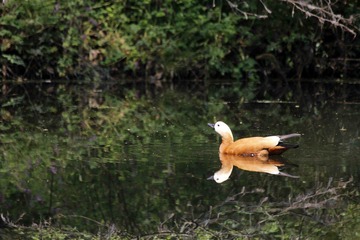 _MG_3037.jpg