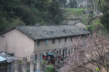 IMG_2356.jpg