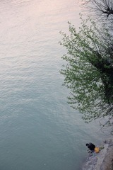 IMG_2352.JPG