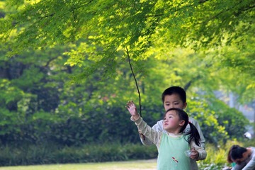 _MG_3308.JPG
