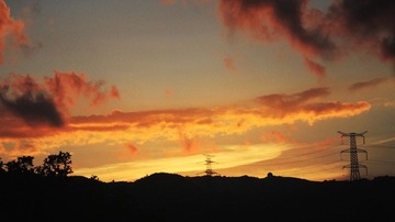 _MG_4830.JPG