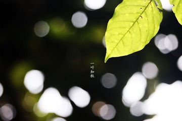 _MG_6011.jpg
