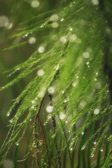 _MG_6216.jpg