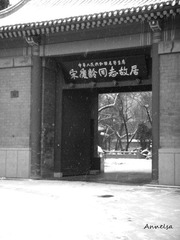 DSC09482.JPG