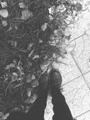 IMG_20121031_141037.jpg