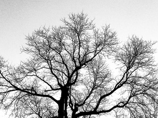 C360_2012-12-31-15-306-31_org.jpg