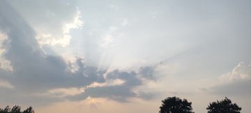 1000006748