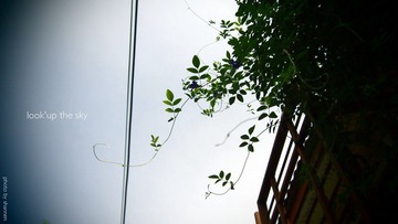 P5204520-edit.JPG