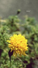 P5204484-edit.JPG