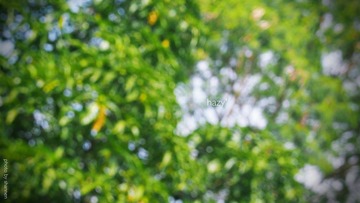 P5204499-edit.JPG