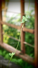 P5204508-edit.JPG