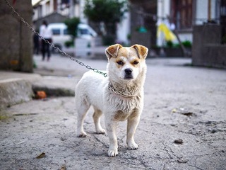 _1120524.jpg