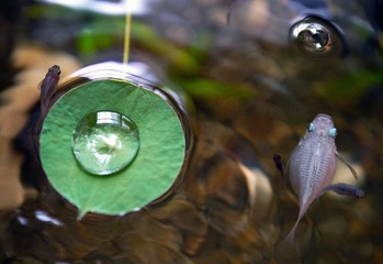 _1130958.JPG