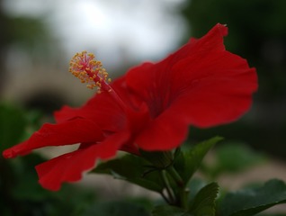 F0F0EDF5-5896-4696-9D8F-D0BDB5FF1FBF/L0/001