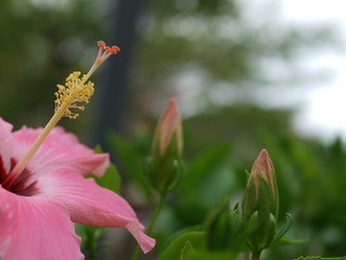 DB2238CA-9C0E-4654-A199-E9D92B2722A0/L0/001