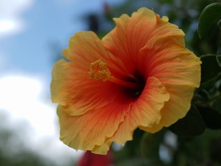 B4391A3D-F079-47CA-9BB1-716502391237/L0/001