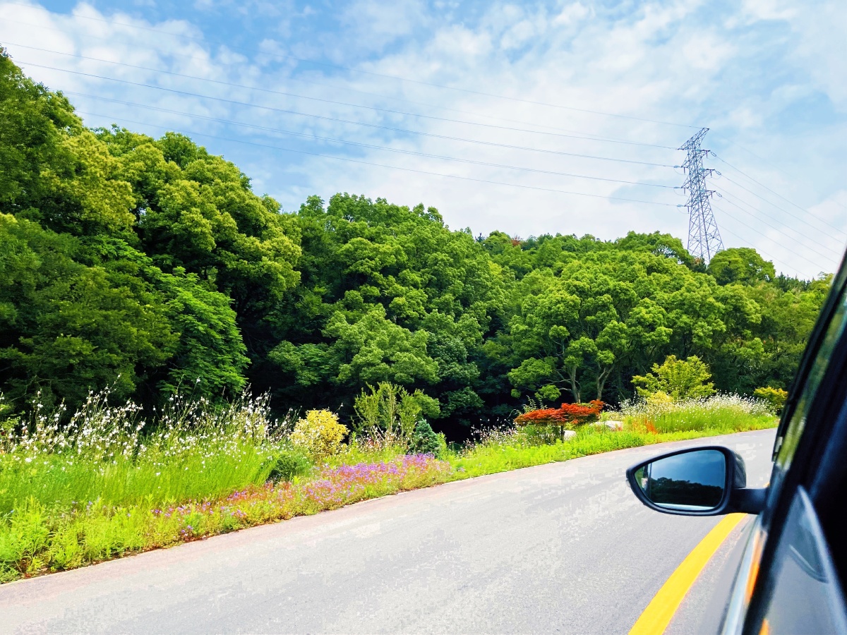 07舟山最美公路螺塘线自驾绝美蓝天白云海边草地