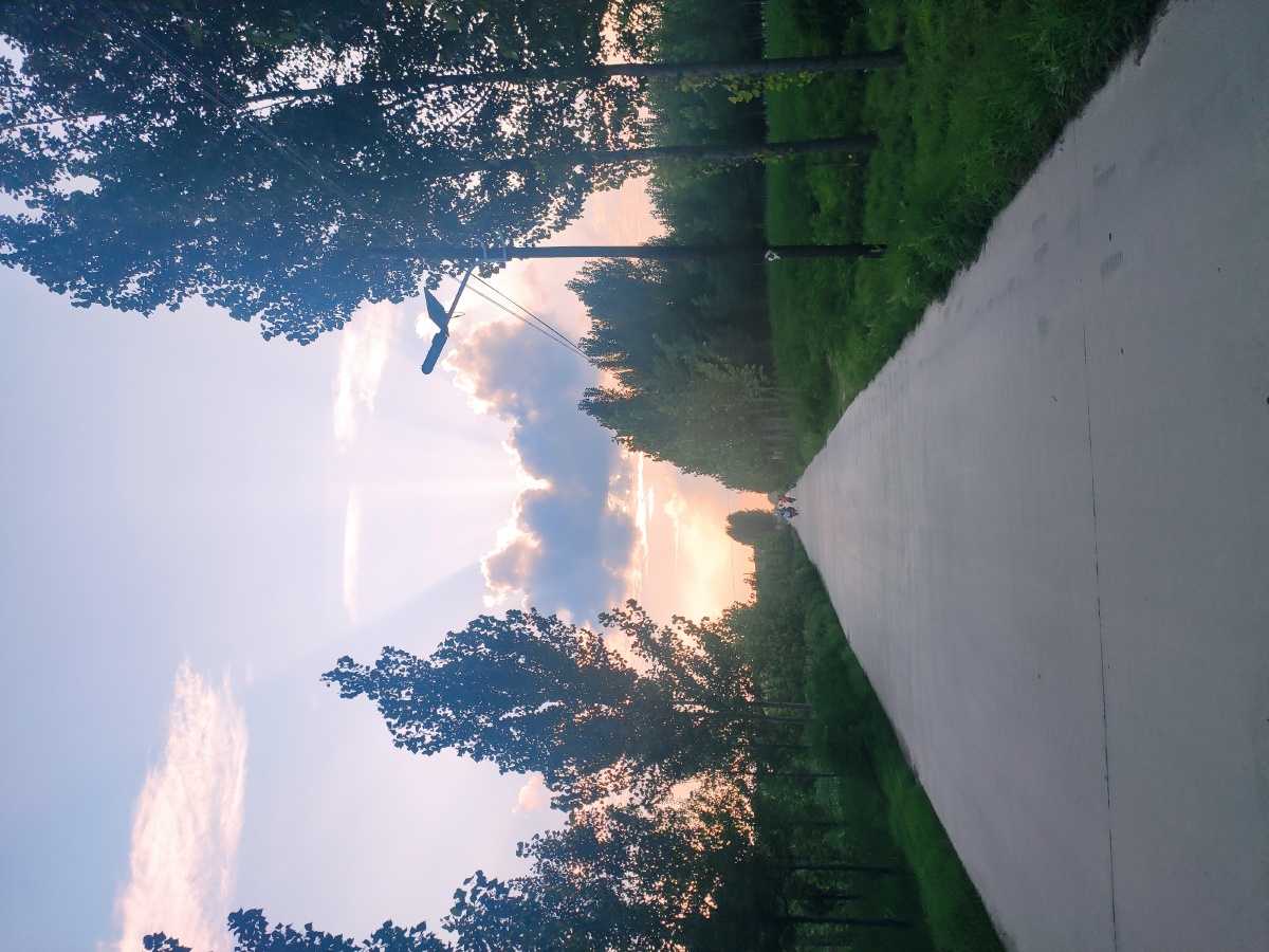 田野夕阳西落温馨乡间的小路