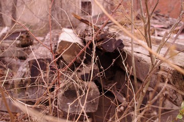 IMGP0820.JPG
