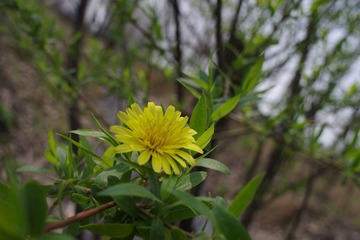 IMGP1719.JPG