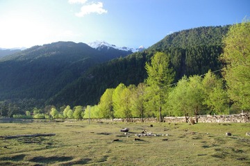 IMGP4630.JPG