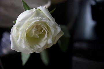 IMGP2056.jpg