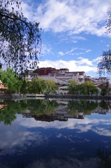 IMGP5076.JPG