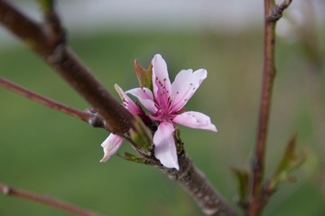 IMGP5173.jpg