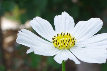 IMGP6077.JPG