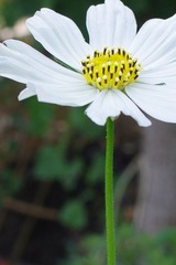 IMGP6083.JPG