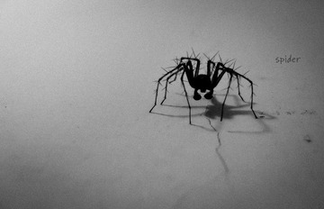 spider (1 - 2).jpg