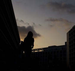 P1010060.jpg