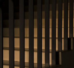 P1010064.jpg