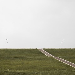 IMG_9950.jpg