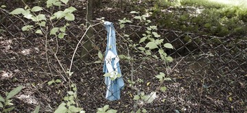 IMG_9925.jpg