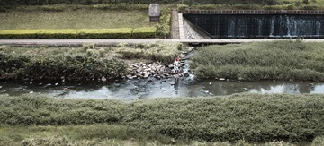 IMG_9932.jpg