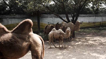 IMG_3078.jpg