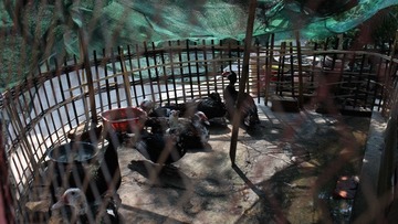IMG_3794.jpg