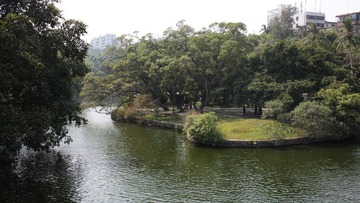 IMG_3798.jpg