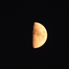 IMG_5046.JPG