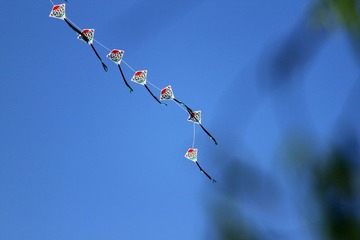 IMG_0213.JPG