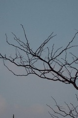 D042C3F5-1660-4F0A-B61B-A40A6D329CD3/L0/001