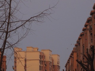 9DDABEA0-238D-444F-8C4D-80AA577C92D5/L0/001