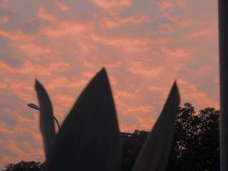 62D20E9C-F0DF-42DB-9F41-48152215F426/L0/001