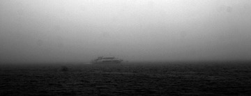 _MG_1083.jpg