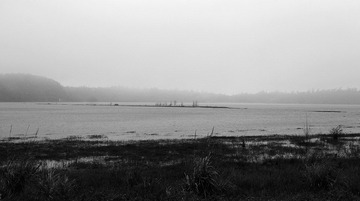_MG_1156.jpg