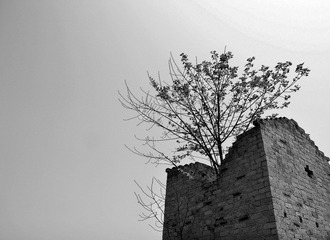 _MG_1361.jpg